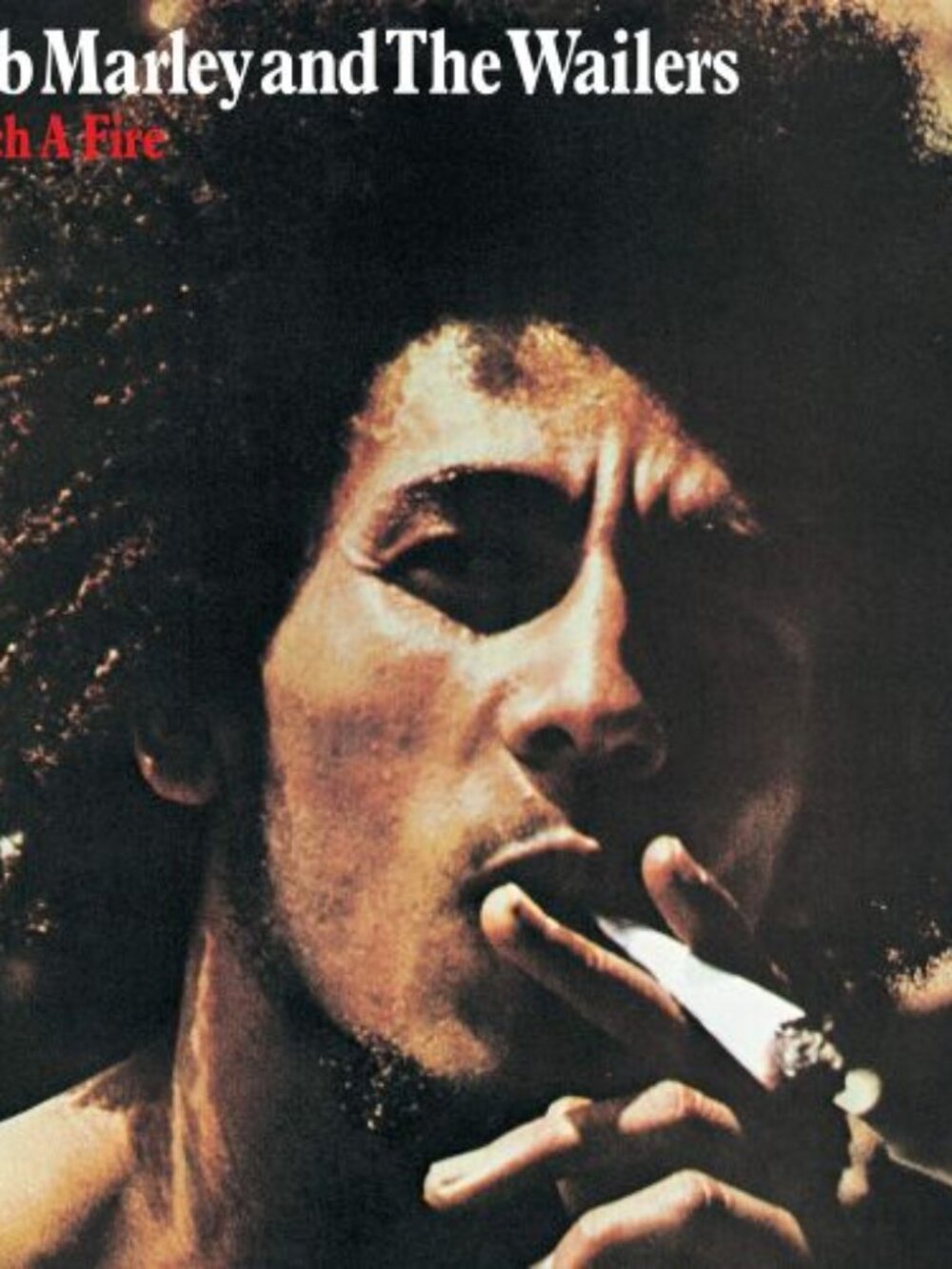 Bob Marley & The Wailers Catch a Fire Vinyl LP